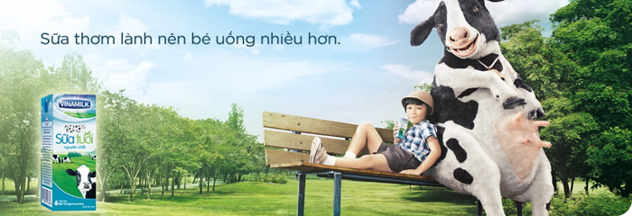 hệ thống nhận diện thương hiệu vinamilk